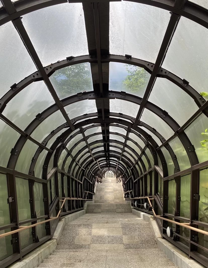 💎 후라노 유리 숲(글라스 포레스트 인 후라노) 이미지 8